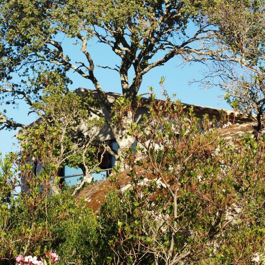 A Camerina Sotta Esterno foto